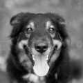 flosie.jpg