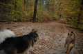 Oktober2007_007.jpg