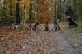 Oktober2007_034.jpg