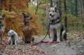 Oktober2007_040.jpg