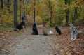 Oktober2007_053.jpg