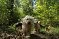 Bild139.jpg