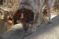 Bild256.jpg