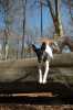 Bild266.jpg