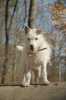 Bild268.jpg
