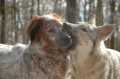 Bild392.jpg