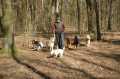 Bild439.jpg