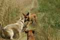 Bild394.jpg