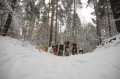 Bild234.jpg