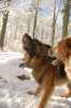 Bild396.jpg