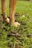 _DSC2653.JPG